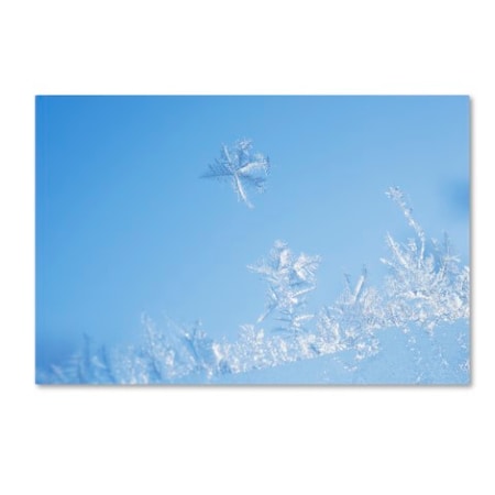 Kurt Shaffer 'Window Frost' Canvas Art,16x24